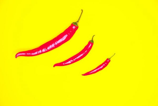 CHILI publisher featured article online design editor Prindustry portal