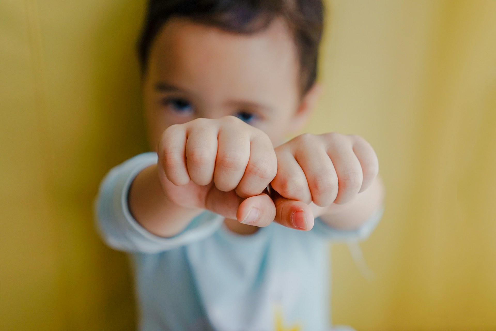 How a Brand Portal helps childcare organizations manage brand communication