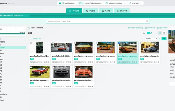 Media Manager File Management Prindustry